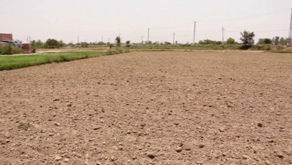 الكارثة المناخية تقترب.. موجة حر غير مسبوقة في أميركا والهند