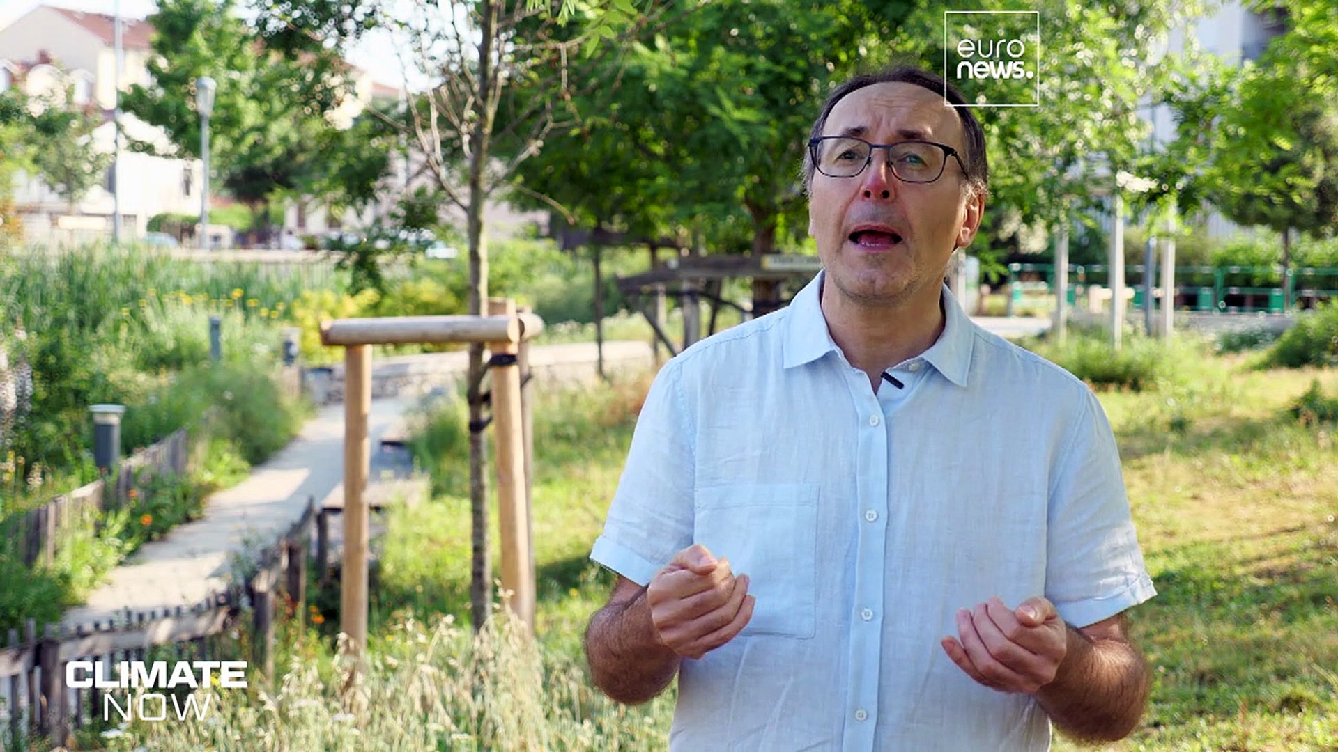 ⁣Французские города оккупированы муравьями, виновата жара