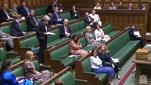 Theresa May condemns Boris Johnson for lying to parliament and makes dig at Rishi Sunak