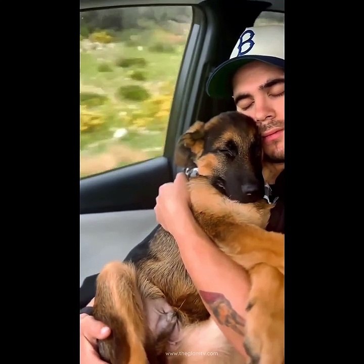 Funny Cute Dogs | Try Not To Laugh Funny Dog Videos Compilation