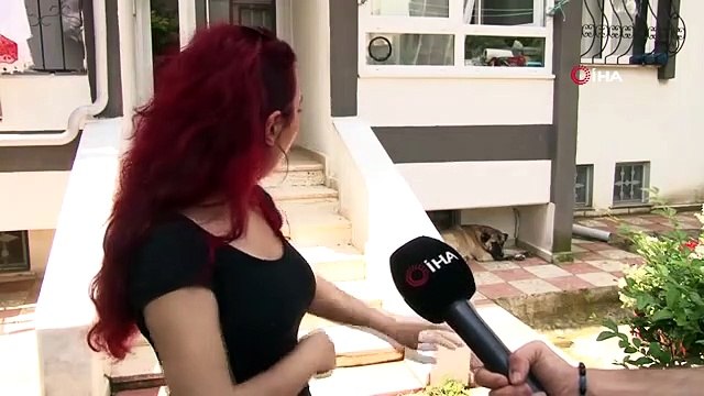 Les allégations de coups de pied au chien ont fait un gâchis : deux voisins se sont croisés comme ça