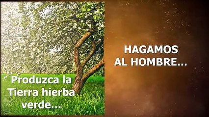 Curso Teología Sistemática Clase N° 12