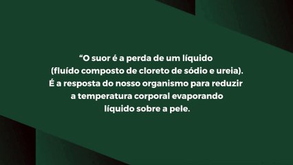 Suor e perda de gordura: existe relação entre os dois? Entenda