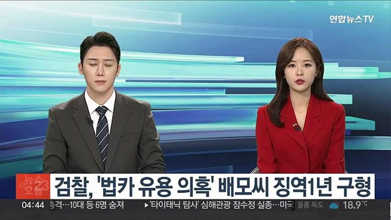 검찰, '법카 유용 의혹' 배 모씨 징역1년 구형