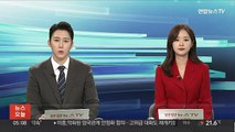 파리에어쇼 개막…에어버스, 인디고와 사상 최대 계약