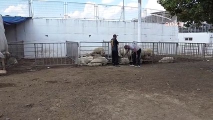 Edremit Belediyesi Kurban Bayramı için 4 satış, 15 kesim noktası belirledi