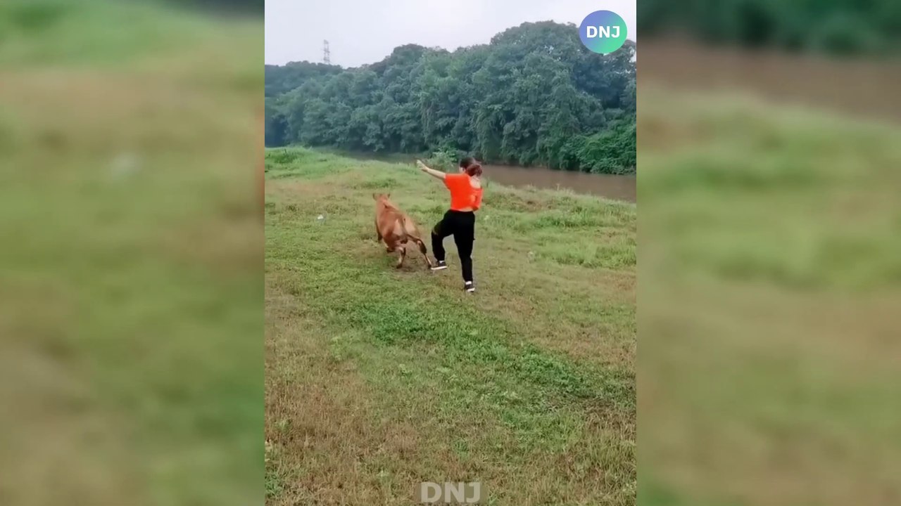 BEST NEW FUNNY  Challenge Do Not Laugh #73  أفضل تحدي مضحك جديد لا تضحك