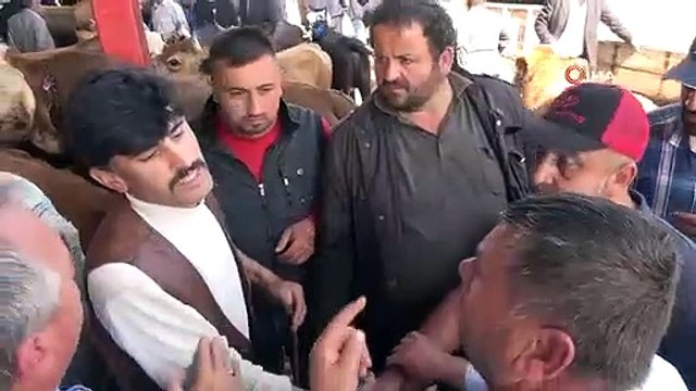 Activité de l'Aïd al-Adha sur les marchés aux animaux ： Les acheteurs et les vendeurs sont satisfaits