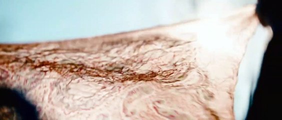 In The Land That Sings | movie | 2023 | Official Teaser