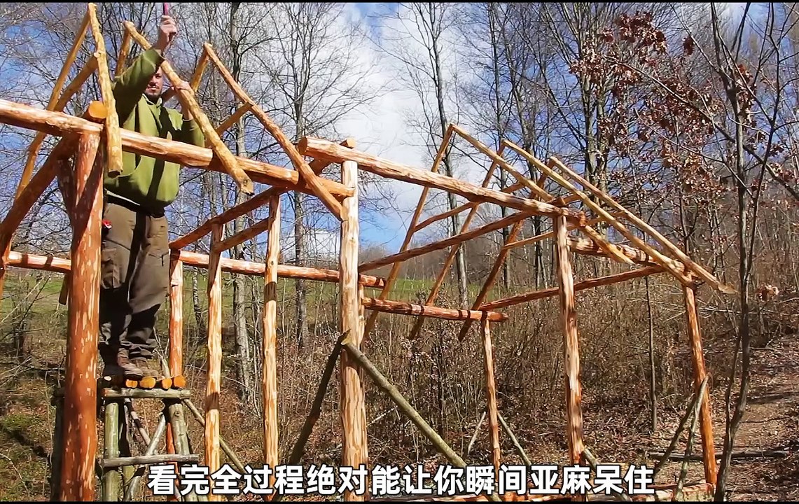 House Making Video 2023 in forest