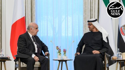 UAE President and Maltese counterpart hold talks on strengthening bilateral ties