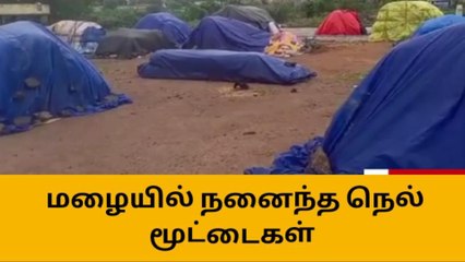 கள்ளக்குறிச்சி : மழையால் நெல் மூட்டைகள் சேதம் !