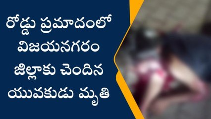 ఎలమంచిలి: రోడ్డు ప్రమాదంలో వ్యక్తిి స్పాట్ డెడ్