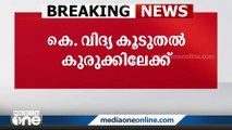 കെ. വിദ്യ അട്ടപ്പാടി കോളേജിൽ നൽകിയതും വ്യാജ രേഖകളെന്ന്