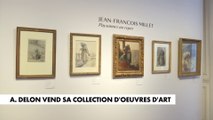 Alain Delon vend sa collection d'œuvres d'art