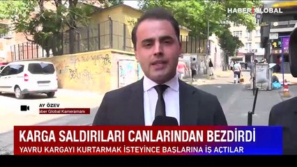 Karga saldırıları canlarından bezdirdi: Sokağa kaskla çıkan da var kasayla çıkan da