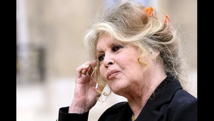 Brigitte Bardot cash sur sa maternité compliquée  “Je n’étais pas assez mûre”