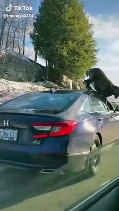 What are we standing for, whom are we waiting for