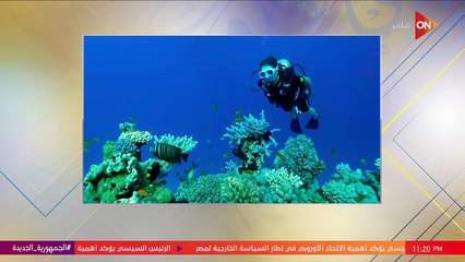 عائشة بن أحمد تروي تجربة غيرت حياتها