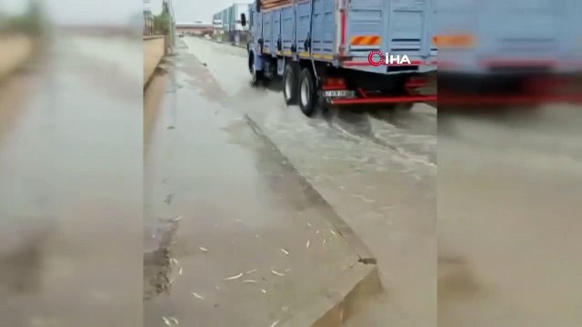 20 juin MÉTÉO： Va-t-il pleuvoir ce week-end？ Va-t-il pleuvoir cette semaine？ Prévisions météo !