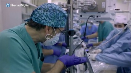 Un equipo de investigadores logra la viabilidad de una placenta artificial para los prematuros