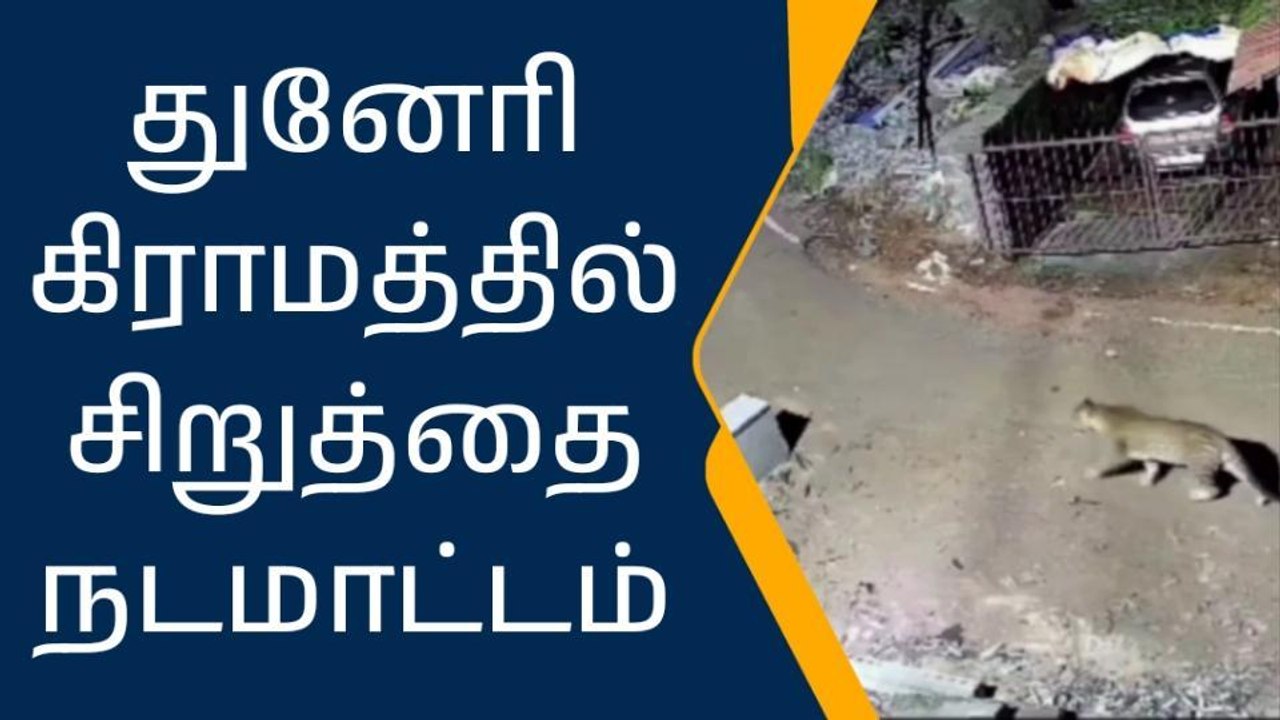 நீலகிரி: நள்ளிரவு சிறுத்தை நடமாட்டம்-பரபரப்பு வீடியோ காட்சி!