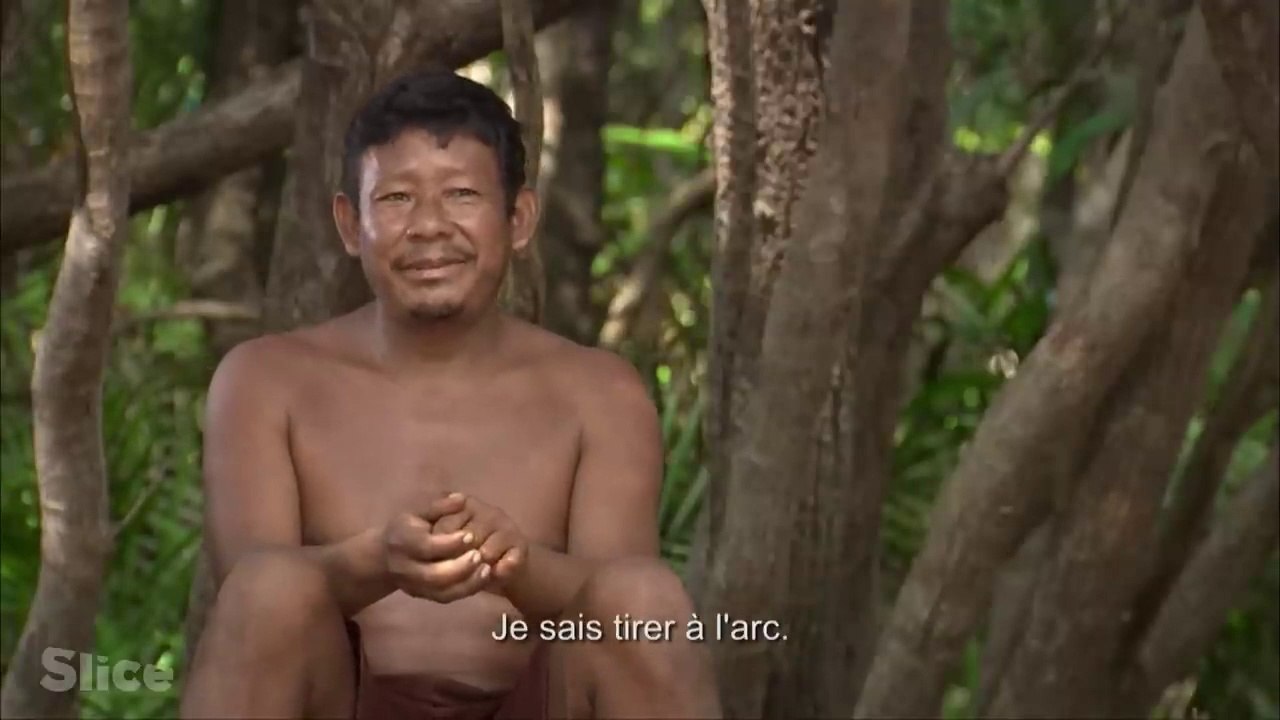 Sans : chiffres, couleurs, passé lointain, futur, récursivité