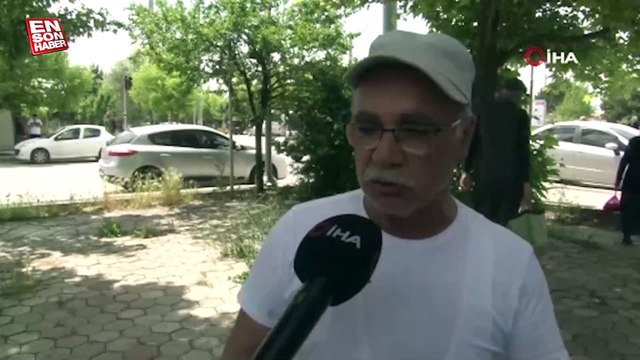 Eskişehir’de başıboş sokak köpekleri site sakinlerini bezdirdi