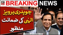 Chaudhry Pervaiz Elahi gets bail | Breaking News |