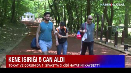 Kene 5 can aldı! Korunmanın yolları neler?