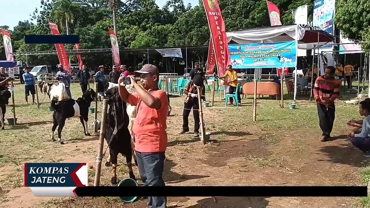 Serunya Bazar dan Kontes Kambing Kurban di Pekalongan
