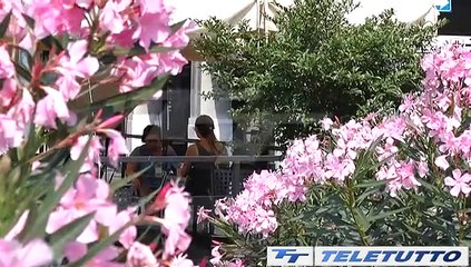 Video News - ATS: COME DIFENDERSI DAL CALDO