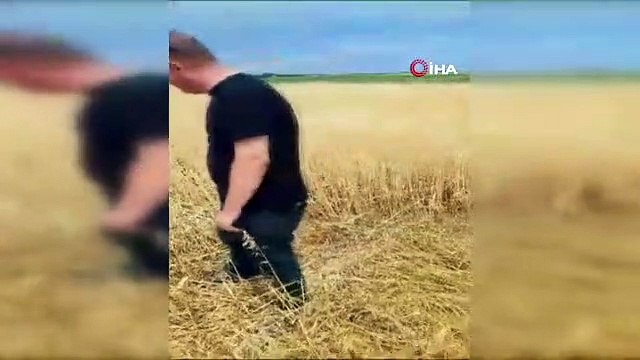 Sağanak yağış ve dolu tarım arazilerine zarar verdi