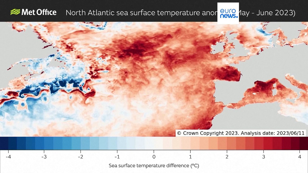 Marine Hitzewelle bereitet Forschern Sorge