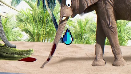 This Is Why Elephants Hate Crocodiles