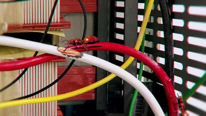 This Is Why Chicks Hate Their Birth Day