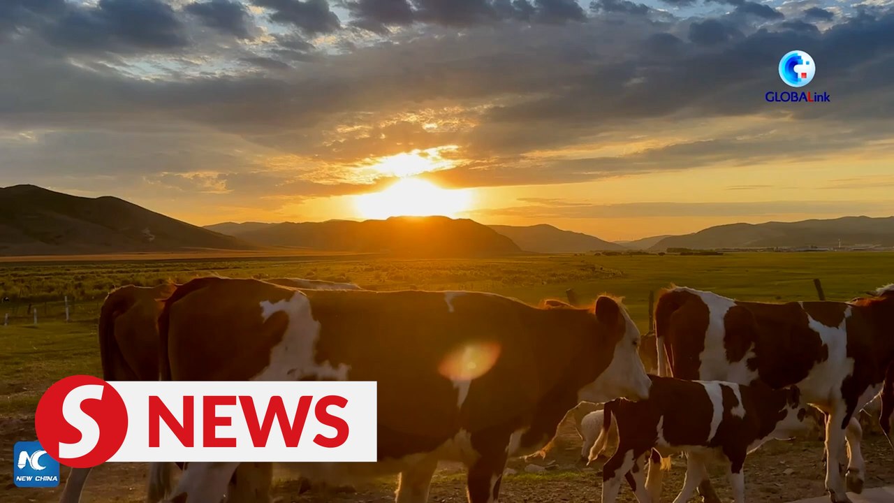 Herders move to summer pastures in N China's Inner Mongolia