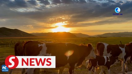 Herders move to summer pastures in N China's Inner Mongolia