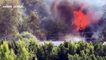 Antalya'da orman yangını! Havadan ve karadan müdahale ediyor