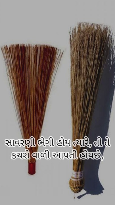 સાવરણી ભેળી હોય ત્યારે તો તે કચરો વાળી આપતી હોય છે