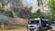 Antalya'da konteyner yangını ormanlık alana sıçradı