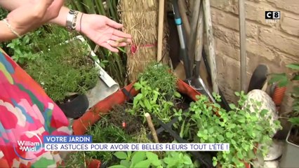 Votre jardin : Ces astuces pour avoir de belles fleurs tout l'été !