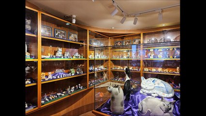 Kuching Cat Museum for Enthusiasts - Sarawak, Malaysia
