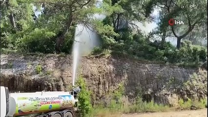Antalya'da konteyner yangını ormanlık alana sıçradı