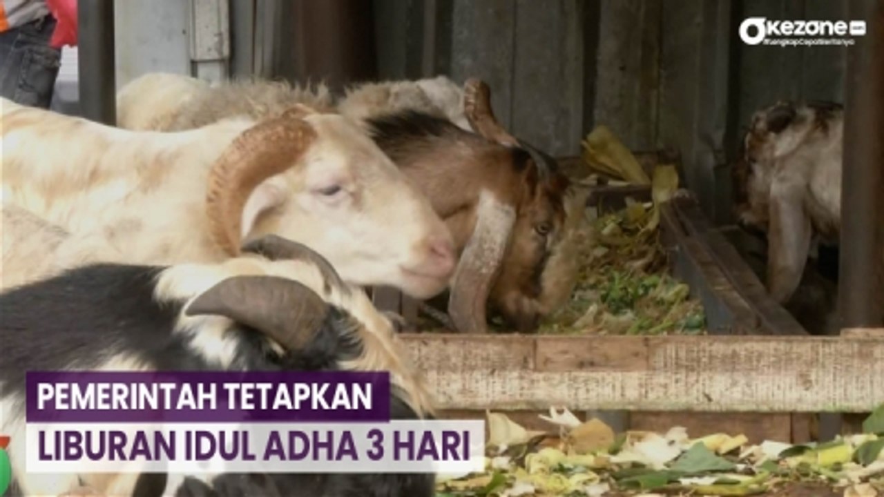 Pemerintah Tetapkan Libur Idul Adha 3 Hari