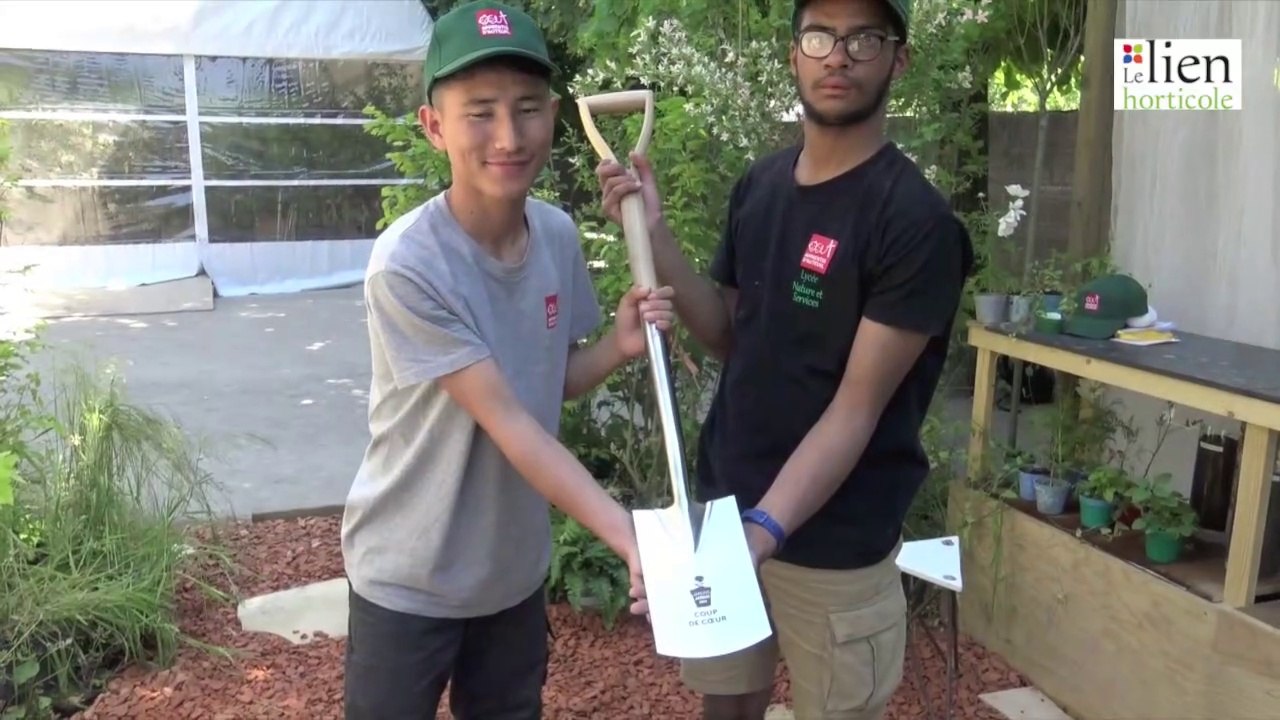 Coup de cœur « Petit jardin urbain » aux Tuileries