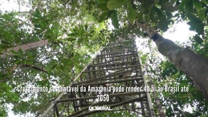 Crescimento sustentável da Amazônia pode render 40 bi ao Brasil até 2050