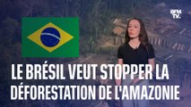 Déforestation: le plan du président Lula pour sauver la forêt amazonienne