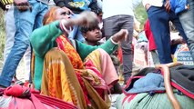 When for the first time children were seen roaming around with snakes in this fair after seeing the female snake charmer, then what happened!