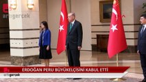 Peru Ankara Büyükelçisi Diaz, Cumhurbaşkanına güven mektubu sundu